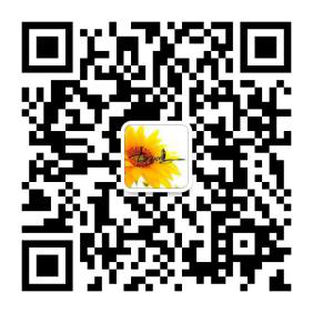 经典中的经典 大众高尔夫 1.8L 自动挡 你还在等什么