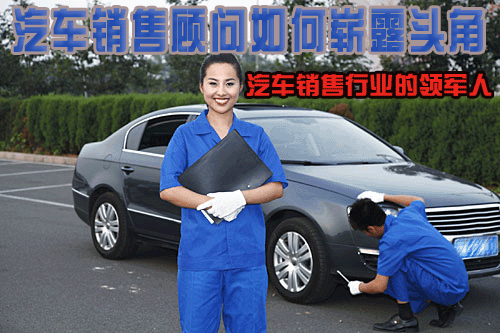 汽车销售顾问