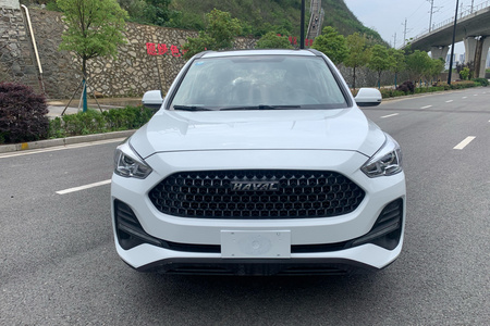 温州二手哈弗M6 2019款 1.5T 双离合 精英型 国VI
